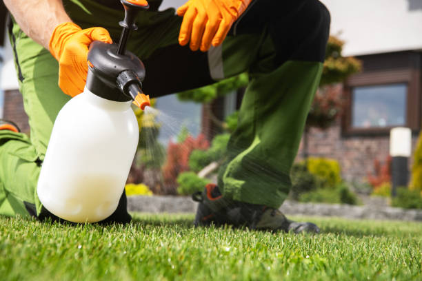 Trusted Park City, IL Pest Control Experts