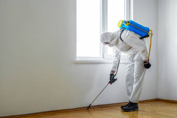 Pest Prevention Services in Park City, IL