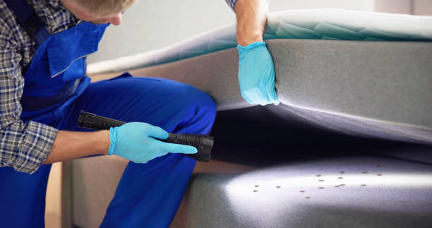 Best Ant Control Services  in Park City, IL