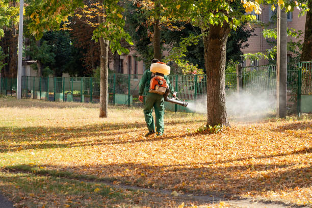 Best Insect Control  in Park City, IL
