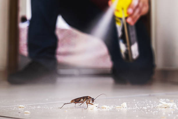 Best Affordable Pest Control Services  in Park City, IL