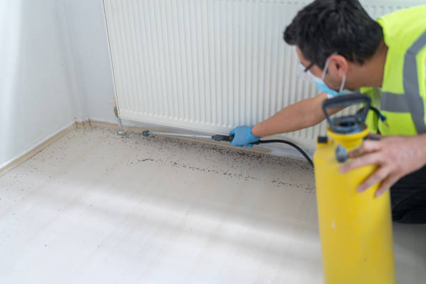 Best Commercial Pest Control Services  in Park City, IL