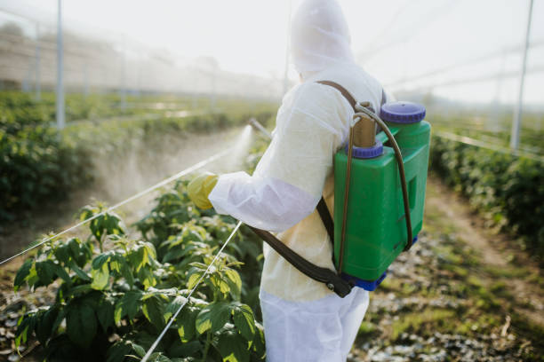 Best Commercial Pest Control Services  in Park City, IL